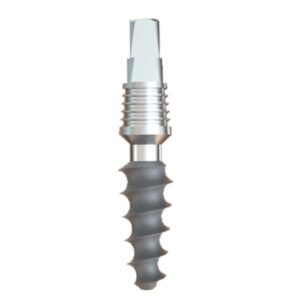 GS Implants Rough 4.7mm