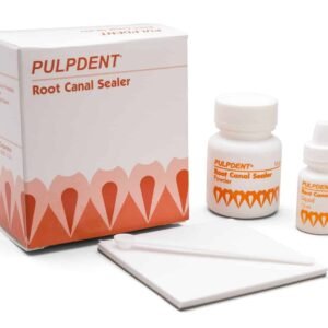 Dental root canal sealer kit for endodontic treatment