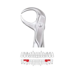 GDC Extraction Forceps Lower Molars - 86 Ergonomic (FX86E)