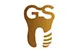 GS Implants